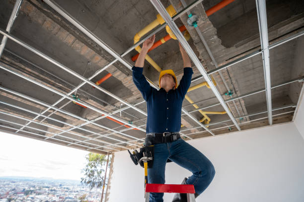 Best Water Leak Repair  in Emmetsburg, IA
