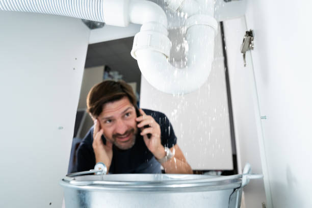 Best Septic Systems  in Emmetsburg, IA