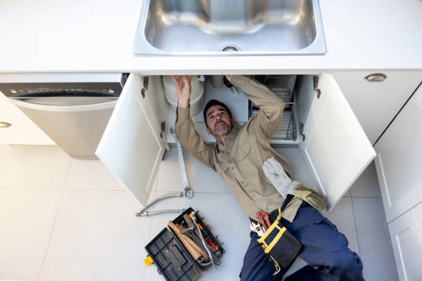 Best Toilet Repair Services  in Emmetsburg, IA
