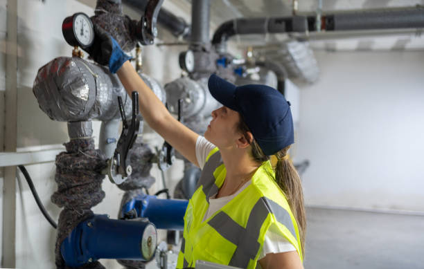 Best Clogged Drain Plumber  in Emmetsburg, IA